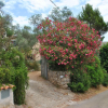 Отель La Casa Dell'artista Between art and Nature, фото 11
