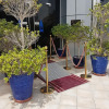 Отель Platinum Apartment в Абу-Даби