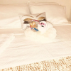 Отель Loft 24 Terraza Alcorcon Parking Gratuito, фото 13