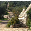 Отель Bioagriturismo Masseria Sciaiani Piccola, фото 9