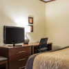 Отель Comfort Inn & Suites Ardmore, фото 6