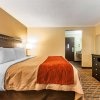 Отель Best Western Plus Magnolia Inn & Suites, фото 29
