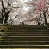 Отель Four Points Flex by Sheraton Morioka, фото 37