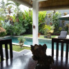 Отель Villa Esa Ubud, фото 8