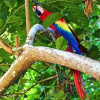 Отель Cabañas Ixaya, фото 6