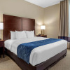 Отель Comfort Suites Waco Near University Area, фото 5