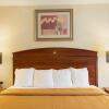 Отель Quality Inn Takoma Park, фото 3