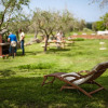 Отель Artemisia negli ulivi B&B, фото 16