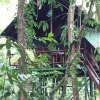 Отель Tree Houses Hotel Costa Rica, фото 43