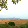 Отель Agriturismo Signorini, фото 16