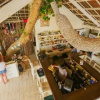 Отель White Banana Beach Club, фото 8