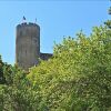 Отель Gites La Saliere Bertrand De St Gilles, фото 5