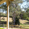 Отель The Willows At Kurrajong, фото 1