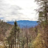 Отель Gatlinburg Eagle View 2 #820, фото 8