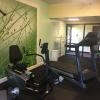 Отель Mountain Inn & Suites, фото 14
