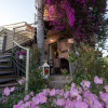 Отель Bougainvillea Garden Retreat, Fully Equipped, фото 12