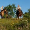 Отель Wildcatter Ranch & Resort, фото 19