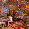 Отель Tiger Inn, фото 15