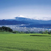Отель Wing International Shizuoka, фото 7