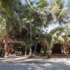 Отель Hostel Bambu Gran Palas and Cenote в Тулуме