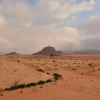 Отель Bedouin Directions, фото 5