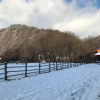 Отель Căsuțele Doftanei, фото 22