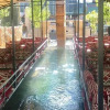 Отель Bicen Hotel, фото 15