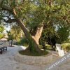 Отель Trullo Panorama - Valle d'Itria, фото 7