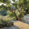 Отель Paradise Found - A Greek Retreat With The View, фото 1