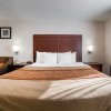 Отель Quality Inn & Suites near NAS Fallon, фото 37