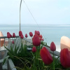 Отель Kermoor Hotel, фото 9