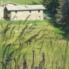 Отель Centro ecosostenibile Lavesé, фото 2