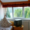 Отель Cabana Cerbul-Oasa-Transalpina, фото 4