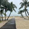 Отель forest city homestay-温馨小筑, фото 5