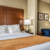 Отель Comfort Suites Near Texas State University, фото 7