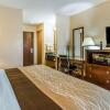 Отель Quality Inn & Suites, фото 23
