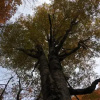 Отель Fuzawa, фото 9