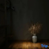 Отель Longquan Moshangguiren Homestay (Baoxi Scenic Area), фото 5