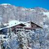 Отель Alpenhof Messmer в Шрунсе