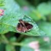 Отель Aparatamentos Arenal Ranas y Ranitas, фото 28