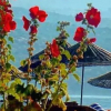 Отель Assos Kadırga Otel Bayramın Yeri, фото 49