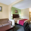 Отель Rodeway Inn & Suites, фото 5