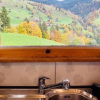 Отель Engel Ingold Lodge Chalet Bärgblümli, фото 45