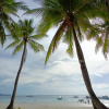 Отель Casita Isla Beach Inn, фото 27
