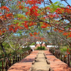 Отель Dongwe Club, фото 22