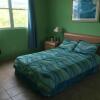 Отель Comfortable Apartment in Boqueron - cash only, фото 9