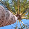 Отель Villa Agua De Coco, фото 25