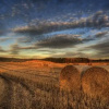 Отель Wiltonburn Farm B&B, фото 2