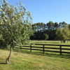 Отель Grasslands Bed & Breakfast, фото 10