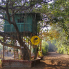 Отель The Jungle Resort, фото 1